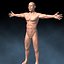 Male_Body_01.lwo