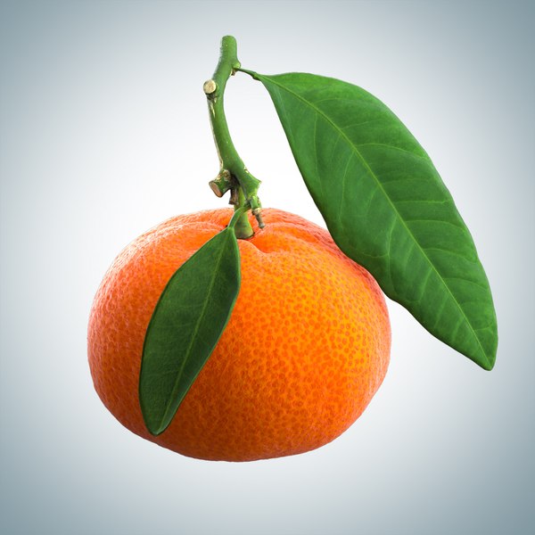 3D mandarin polly model