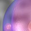 ovum