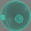 ovum