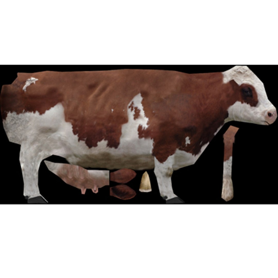 bull ox bovine max