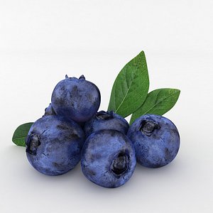 3D blueberry