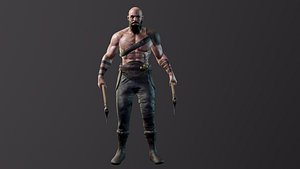 3D Viking