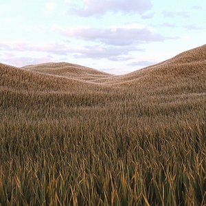 grass 5 3D model