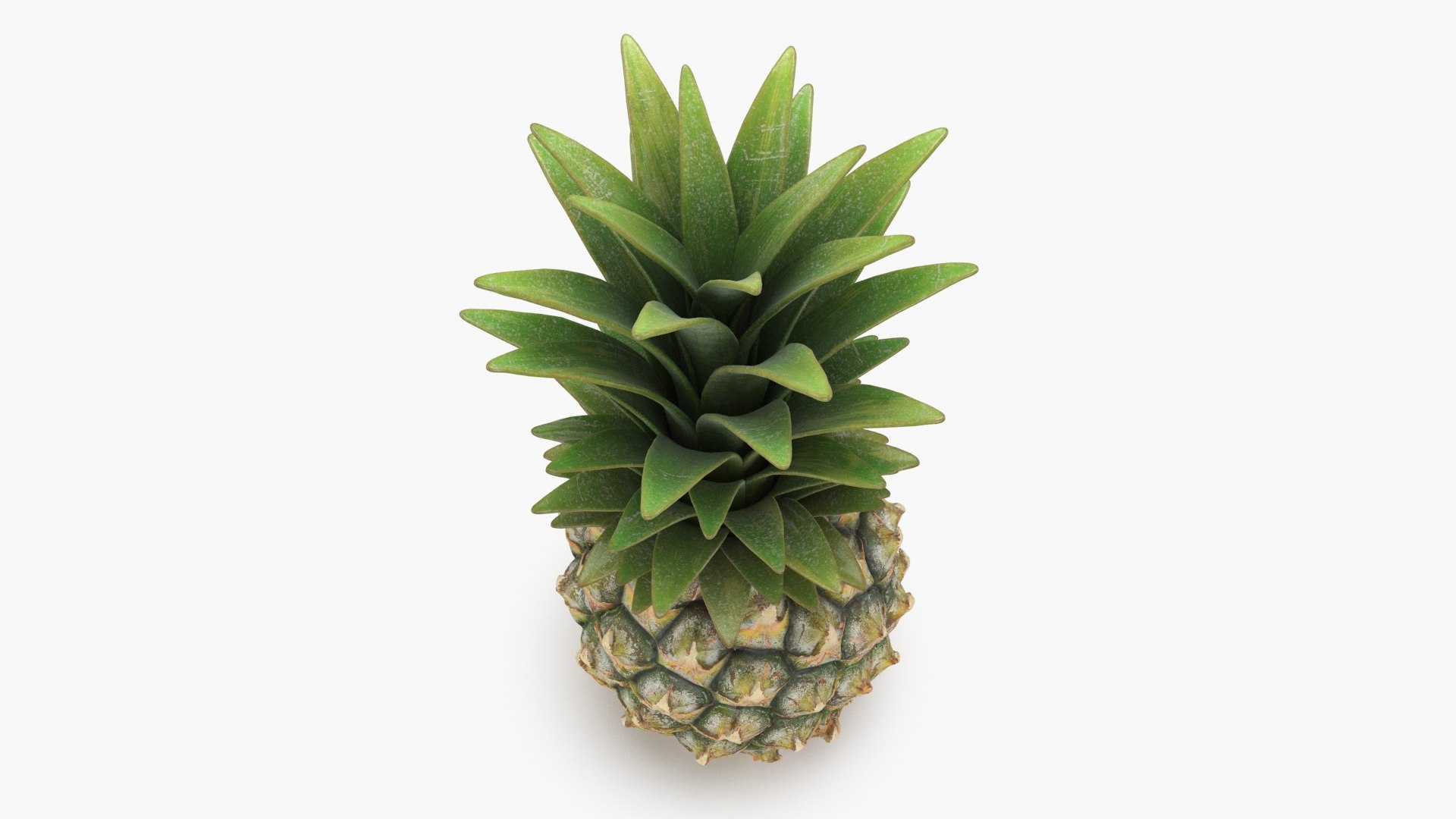 3D Whole Pineapple https://p.turbosquid.com/ts-thumb/Gm/xsoIYr/2q/pineapplepw_b0018/jpg/1687445524/1920x1080/fit_q87/fe0a91ebd479dfc76c94648c93d64c3cd07e54cc/pineapplepw_b0018.jpg