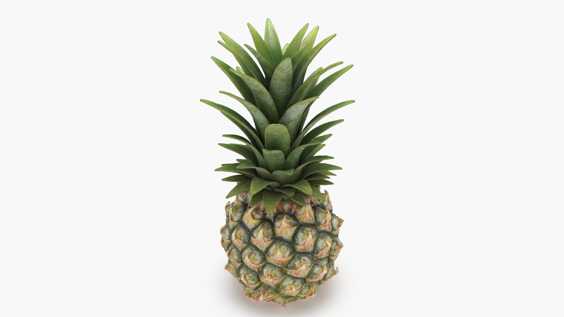 3D Whole Pineapple https://p.turbosquid.com/ts-thumb/Gm/xsoIYr/2z/pineapplepw_b0016/jpg/1687445522/1920x1080/fit_q87/49e0cf77d6fedb22f33704a4db14084b62af5838/pineapplepw_b0016.jpg