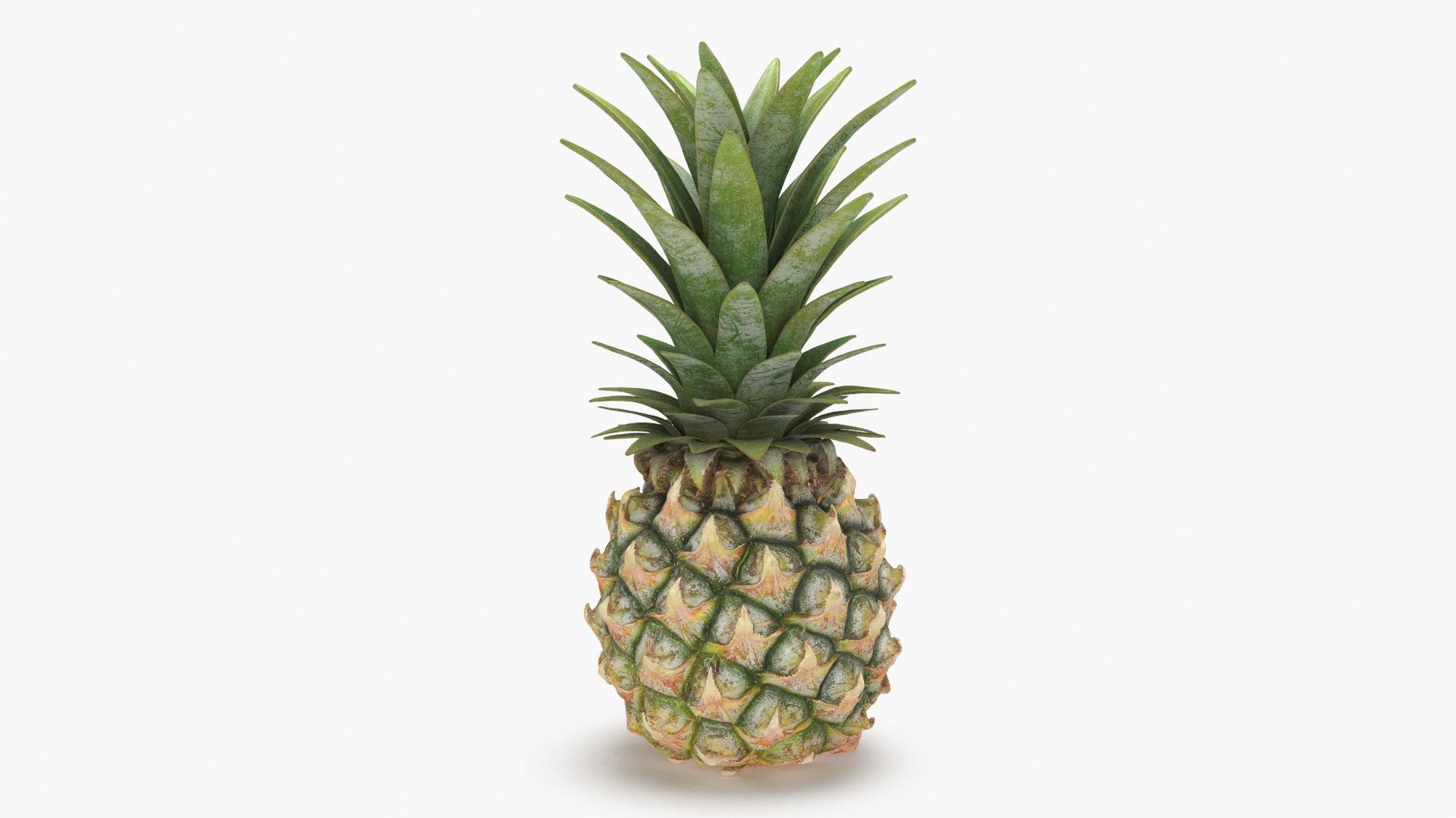 3D Whole Pineapple https://p.turbosquid.com/ts-thumb/Gm/xsoIYr/6D/pineapplepw_b0014/jpg/1687445521/1920x1080/fit_q87/cb673e85a5a435e20f1fd2be50284fe16fe9b58f/pineapplepw_b0014.jpg