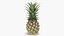 piña entera