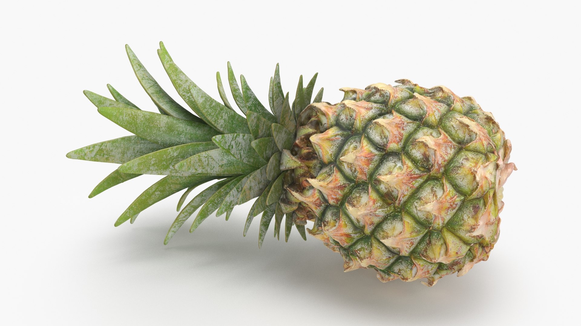 3D Whole Pineapple https://p.turbosquid.com/ts-thumb/Gm/xsoIYr/Ny/pineapplepw_b0020/jpg/1687445525/1920x1080/fit_q87/047b4fa09f61b2905fc9aa75808060ab7202ae4e/pineapplepw_b0020.jpg