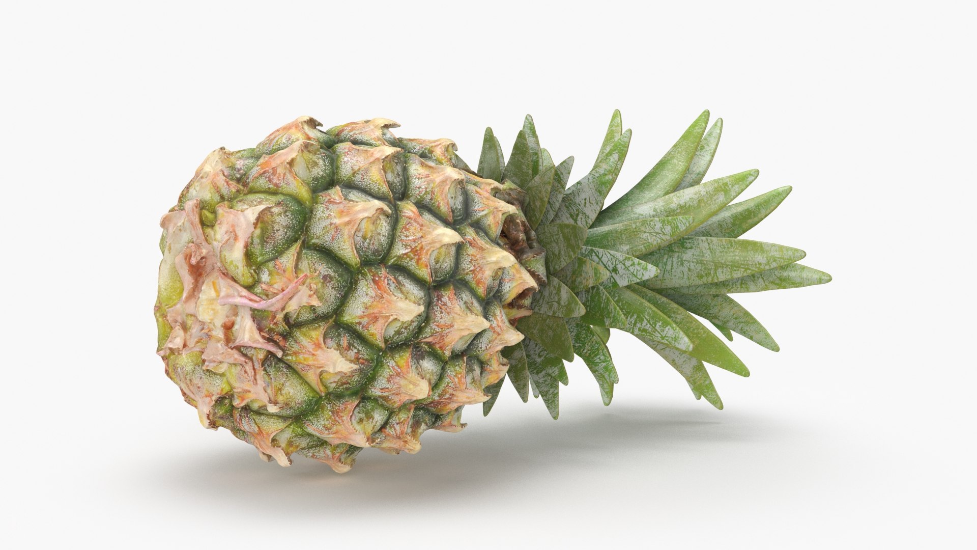 3D Whole Pineapple https://p.turbosquid.com/ts-thumb/Gm/xsoIYr/Td/pineapplepw_b0023/jpg/1687445527/1920x1080/fit_q87/cc0974ab8f6f01c5bd4e89fc20dc366535f58166/pineapplepw_b0023.jpg
