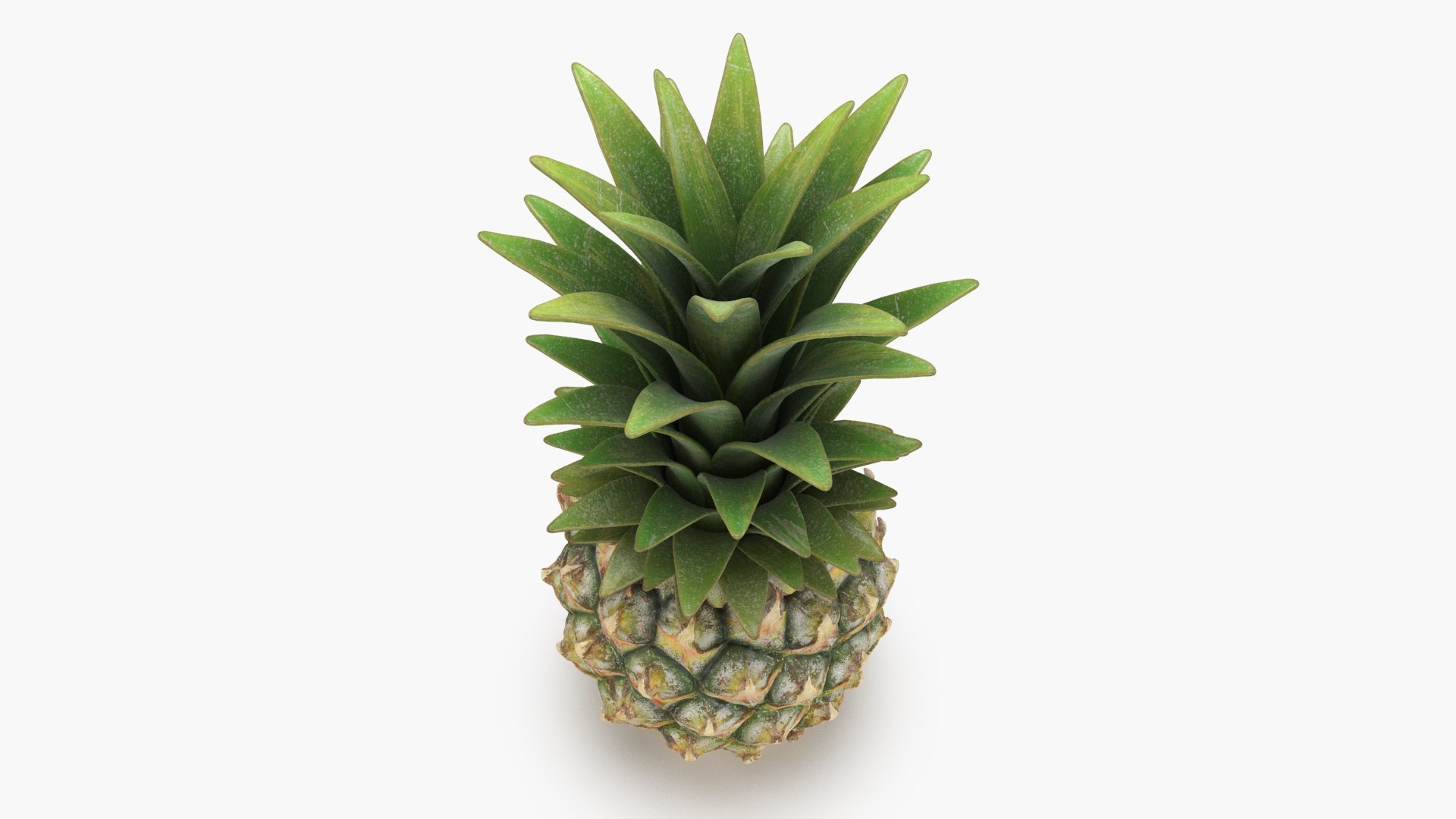 3D Whole Pineapple https://p.turbosquid.com/ts-thumb/Gm/xsoIYr/aZ/pineapplepw_b0008/jpg/1687445518/1920x1080/fit_q87/a901ccf569147d4bb05be5410114a8a3df8d38c4/pineapplepw_b0008.jpg