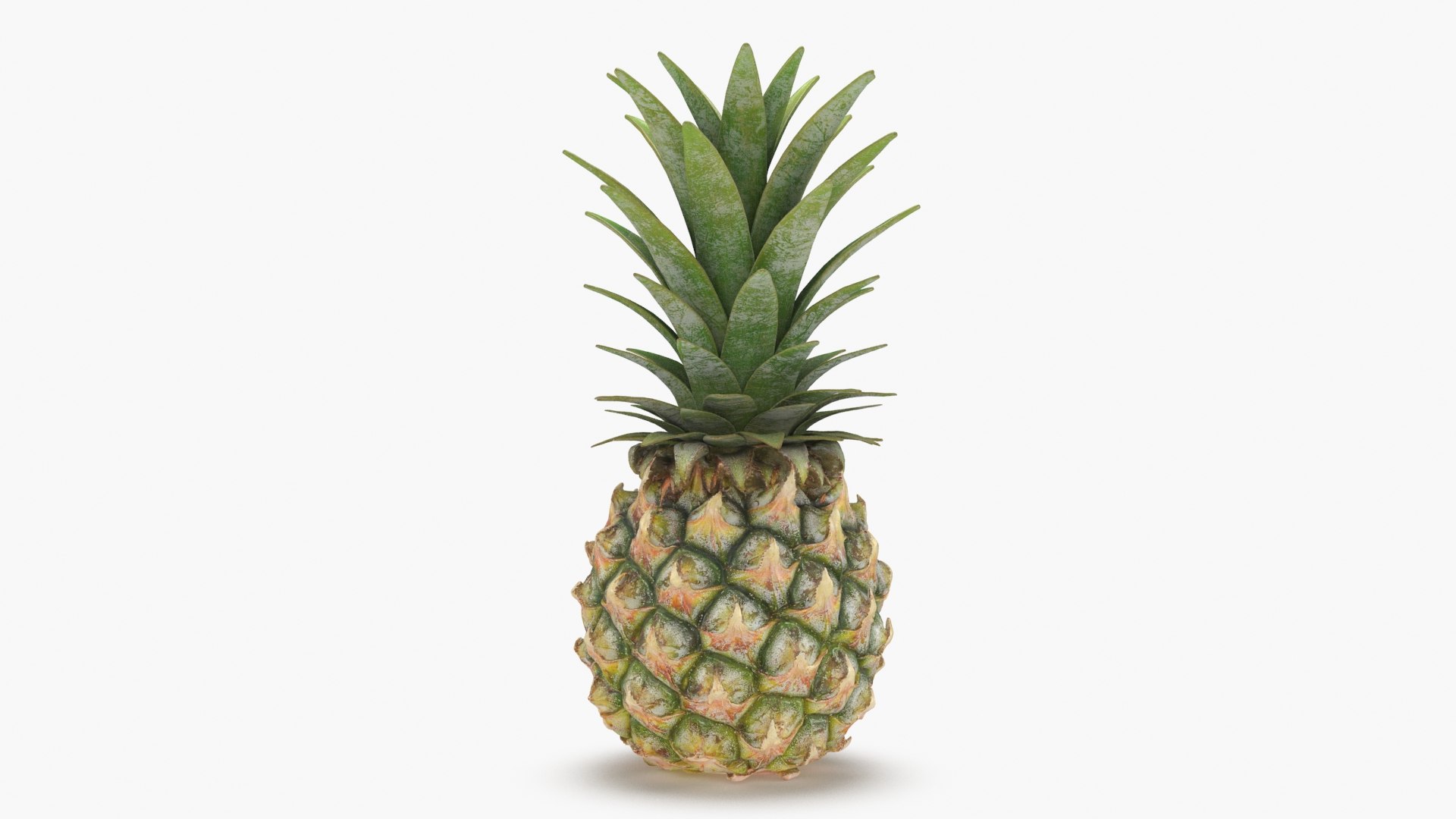 3D Whole Pineapple - TurboSquid 2087100