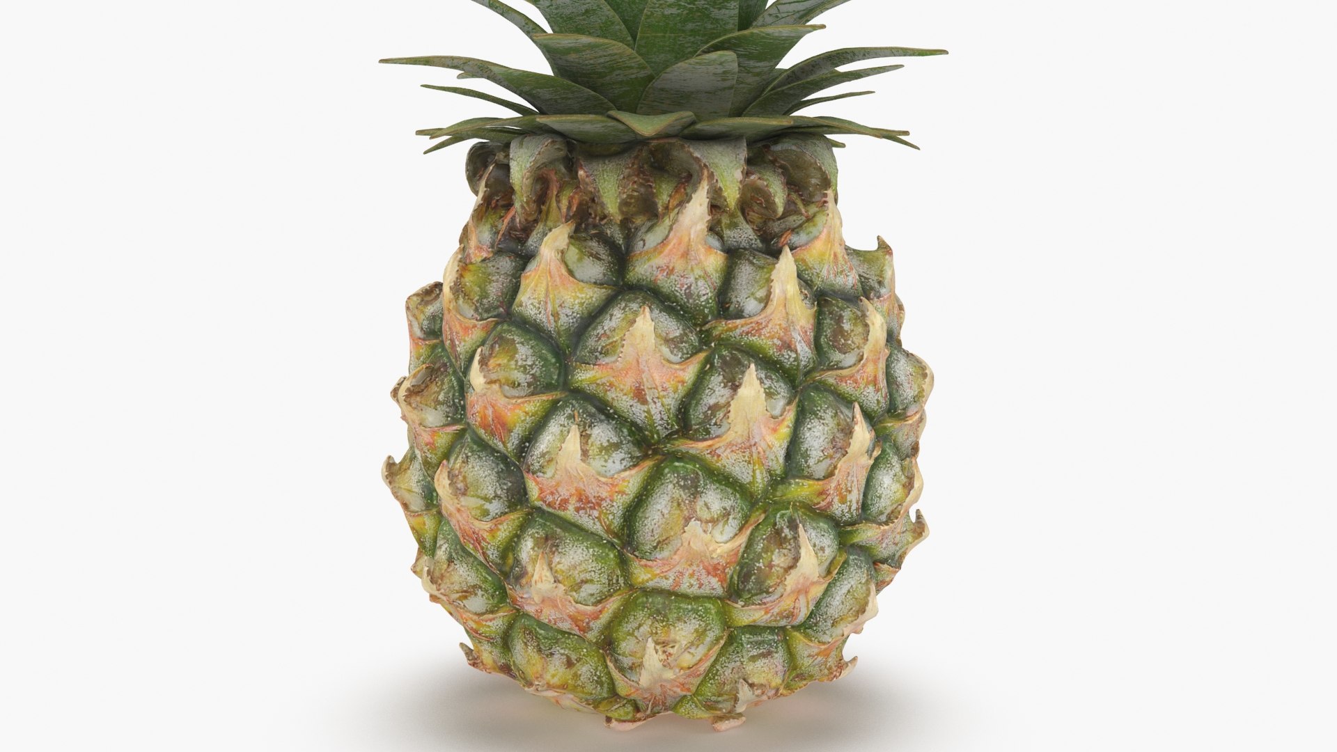 3D Whole Pineapple https://p.turbosquid.com/ts-thumb/Gm/xsoIYr/k7/pineapplepw_b0004/jpg/1687445518/1920x1080/fit_q87/65380725b3b7515ce495191aaa52636d36149cd3/pineapplepw_b0004.jpg