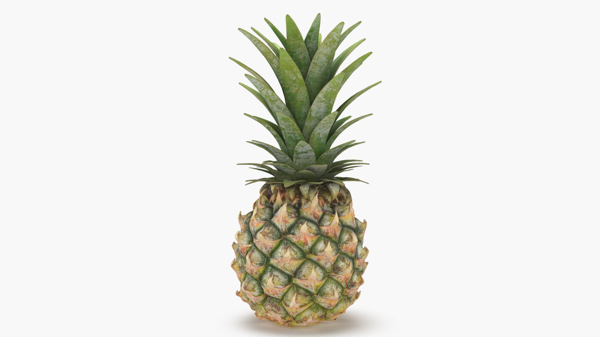 3D Whole Pineapple https://p.turbosquid.com/ts-thumb/Gm/xsoIYr/sP/pineapplepw_b0006/jpg/1687445518/1920x1080/fit_q87/338b96f1eaafee1e6d363417bbe32df8d88f3062/pineapplepw_b0006.jpg