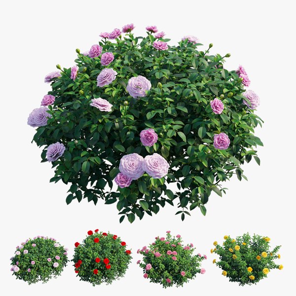 modelo 3d Conjunto de plantas de rosas 53 - TurboSquid 1728186