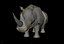 african black rhino 3d obj
