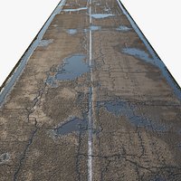 Old wet and dry paved road - 35 meters