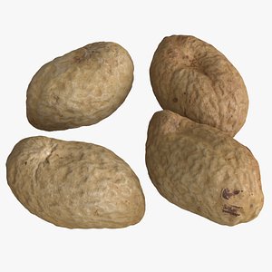 photogrammetry unshelled peanuts 3D model
