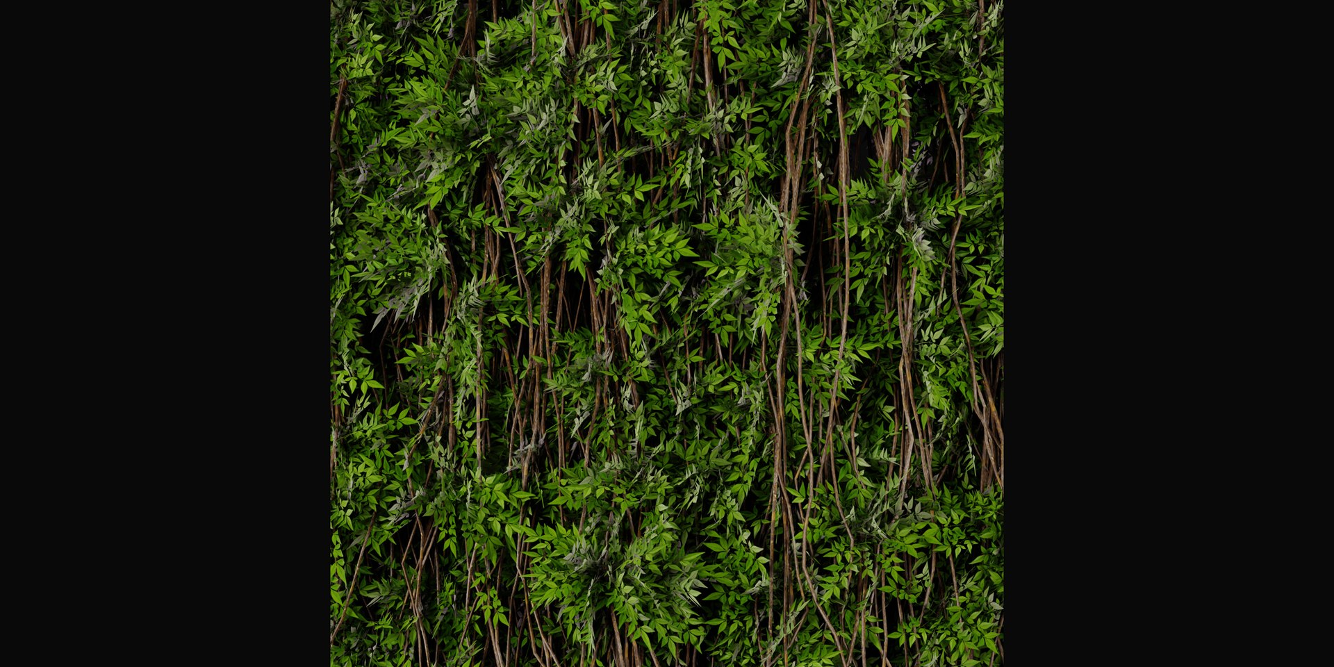3D Collection plant vol 415 - blender model https://p.turbosquid.com/ts-thumb/Gn/APSp8s/0f/4/jpg/1689259708/1920x1080/fit_q87/d48907e69e85907d4df0b5c80c083e6e10b13ac5/4.jpg
