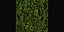 Collection plant vol 415 - blender model