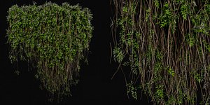 Collection plant vol 415 - blender model