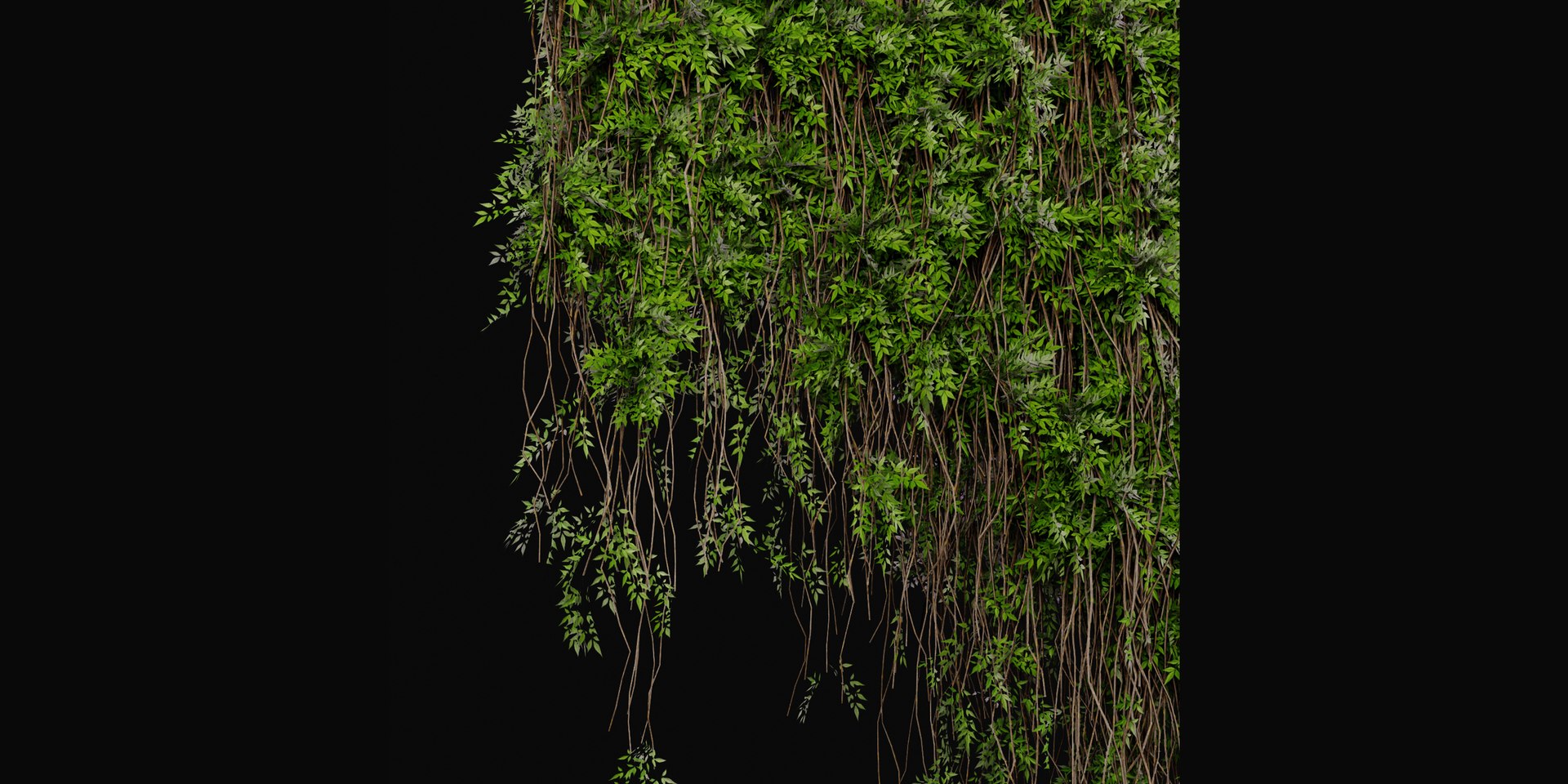 3D Collection plant vol 415 - blender model https://p.turbosquid.com/ts-thumb/Gn/APSp8s/iQ/6/jpg/1689259705/1920x1080/fit_q87/03fecfccd67afe382cff76d2a24af221ef528ed4/6.jpg