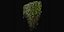 Collection plant vol 415 - blender model
