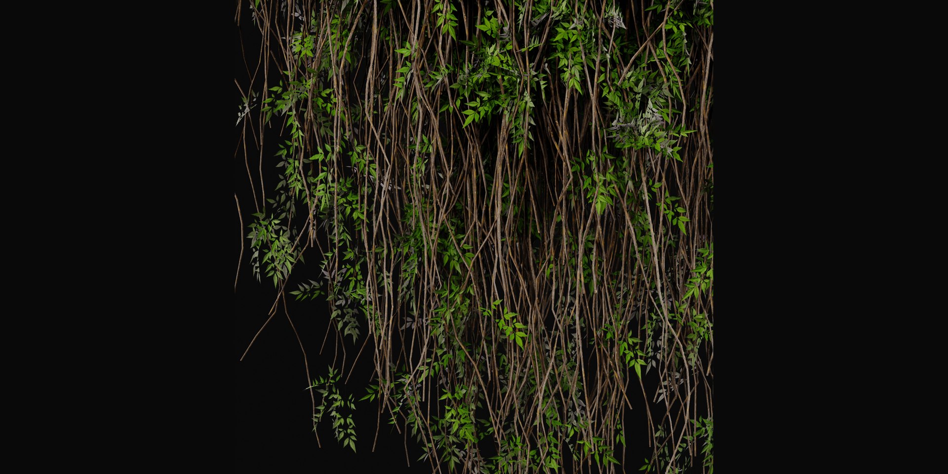 3D Collection plant vol 415 - blender model https://p.turbosquid.com/ts-thumb/Gn/APSp8s/sn/3/jpg/1689259708/1920x1080/fit_q87/870ab76ca914b3767831884d7d8a088d1a868ba3/3.jpg