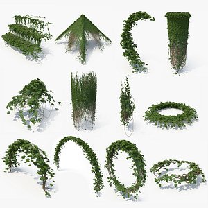 Ivy Architectural Bundle