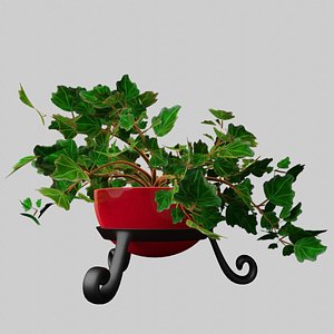 3D model english ivy plant