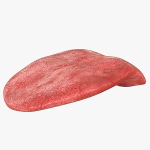 tongue 3D model
