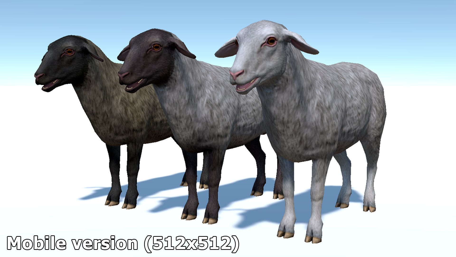 Sheep 3D Model - TurboSquid 1937951