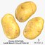 Clean Potatoes Game Ready Collection 02 - 3 Modelle
