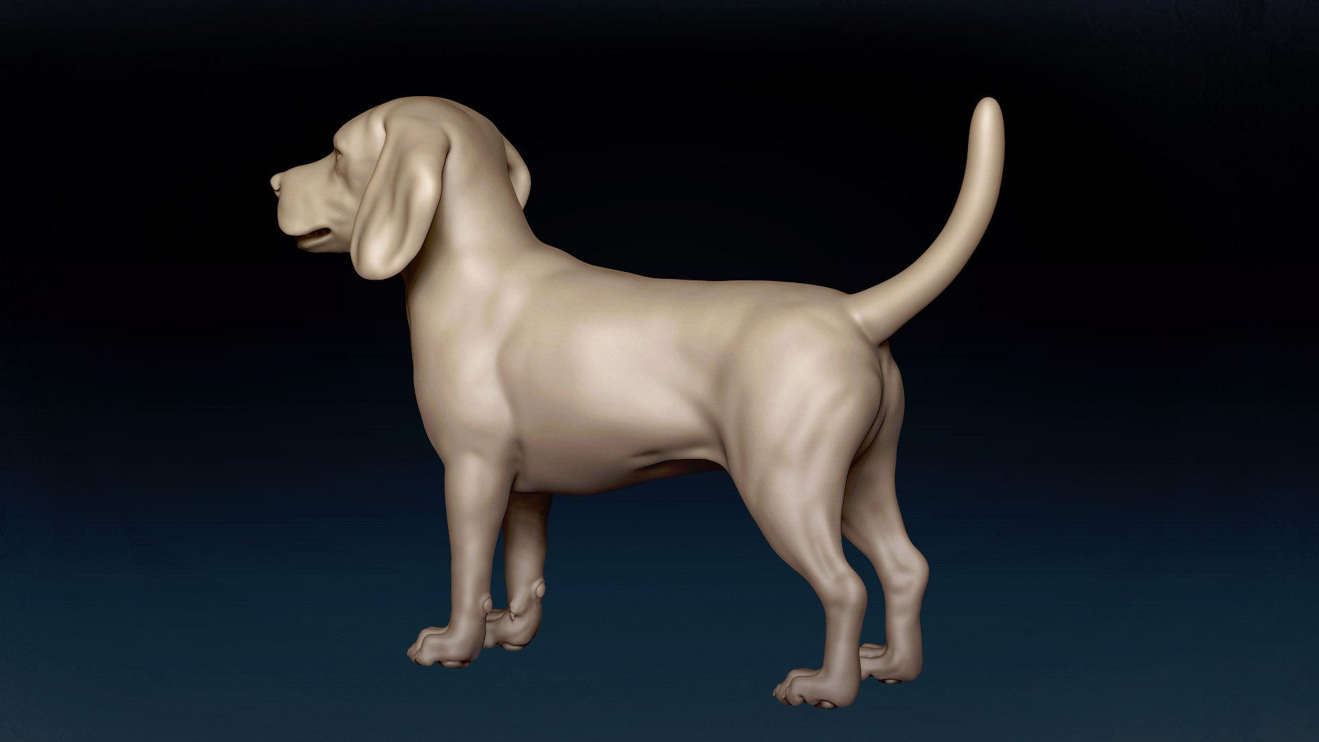 3D Beagle Base Mesh 3D Model - TurboSquid 1863556