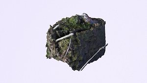 stump 3D