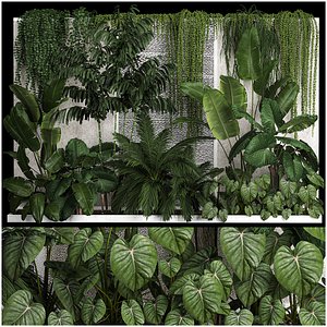 Garden And Tropical Flowerbed With Hanging Plants