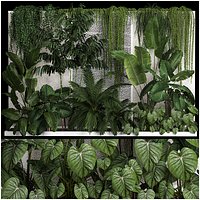 Garden And Tropical Flowerbed With Hanging Plants
