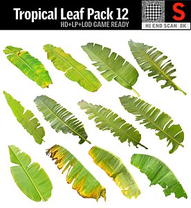 Tropical Leaf Pack 12