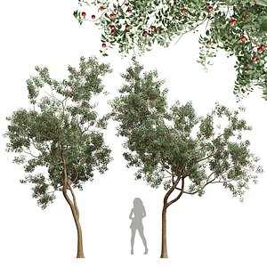 3D model New Plant High detail Cerasus Pseudocerasus Cherry