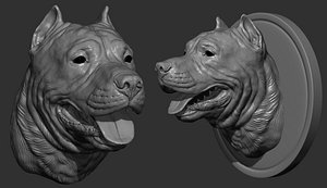 Pitbull terrier head 3D model