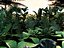 set plants 3D