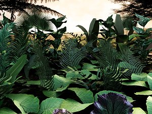 Set tropical plants 2 10 species