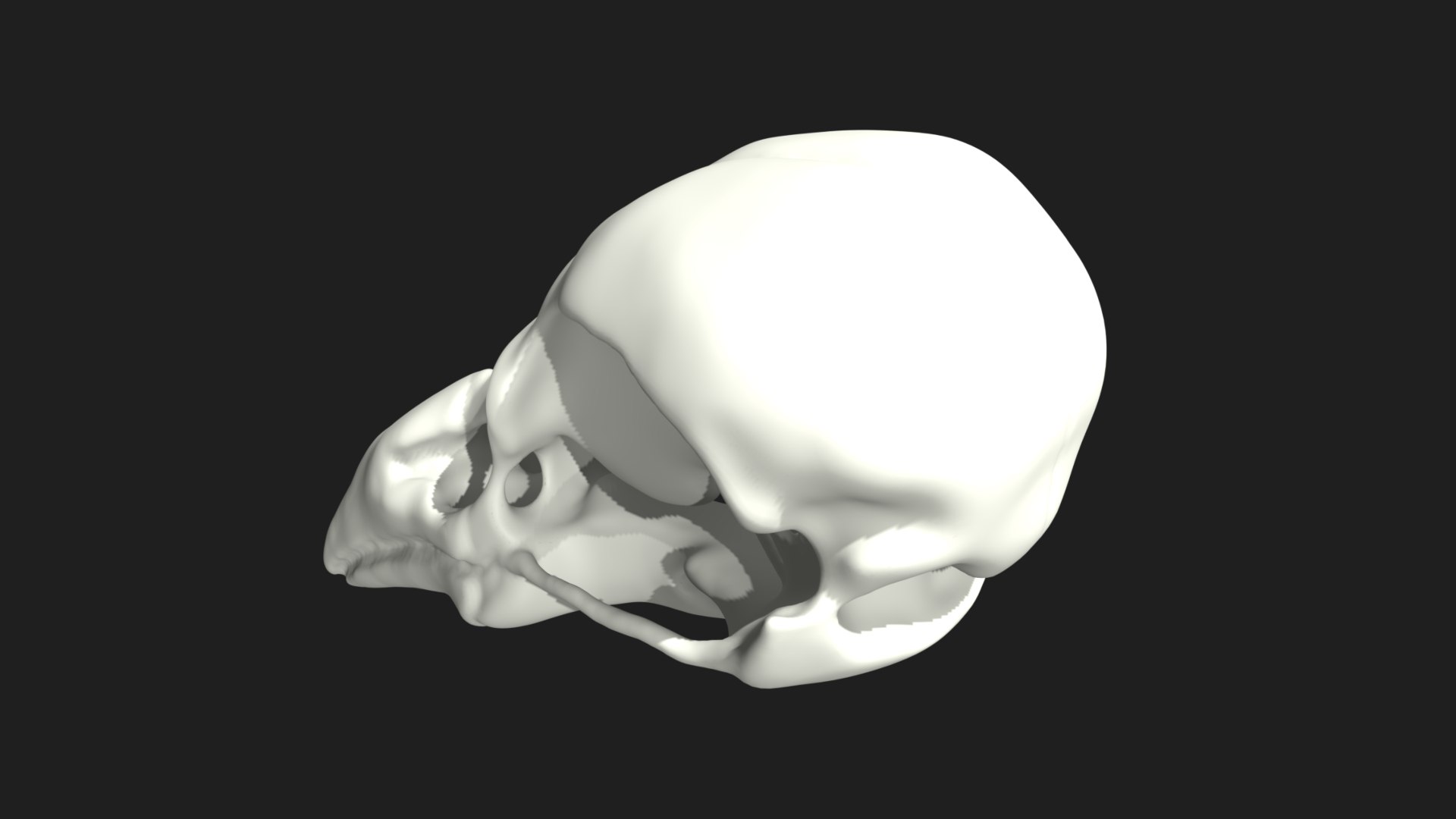 3D Raven Crow Skull https://p.turbosquid.com/ts-thumb/Go/aUZNQC/3f/17/jpg/1628027217/1920x1080/fit_q87/8b11f29a6d2cdd28e7d81fd65879c9d1451a8c46/17.jpg