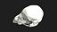 Raven Crow Skull