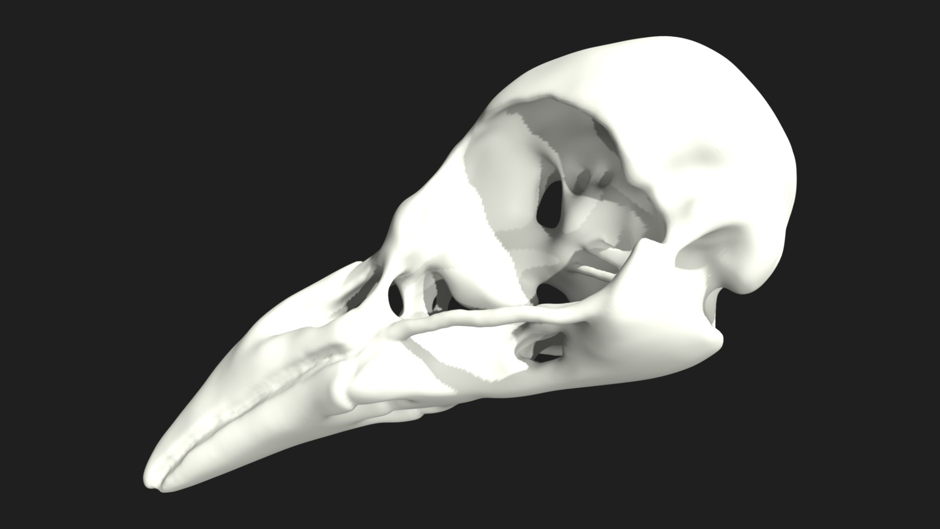 3D Raven Crow Skull https://p.turbosquid.com/ts-thumb/Go/aUZNQC/8u/18/jpg/1628027218/1920x1080/fit_q87/77022f3f238c625bd9298775030d0f8cf4b50607/18.jpg