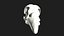 Raven Crow Skull