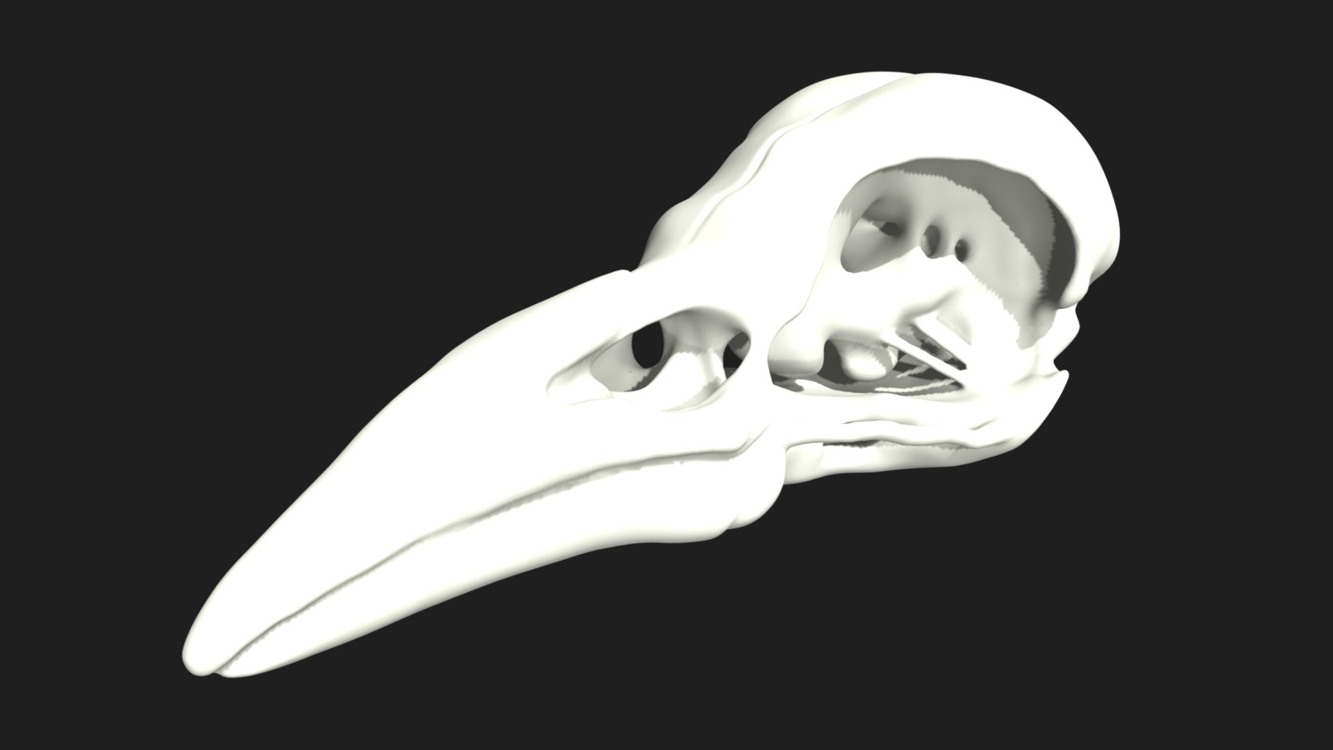 3D Raven Crow Skull https://p.turbosquid.com/ts-thumb/Go/aUZNQC/Ff/16/jpg/1628027217/1920x1080/fit_q87/a31d47b748ebdfc9b06001d70f9526e1f8e43290/16.jpg