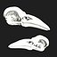 Raven Crow Skull