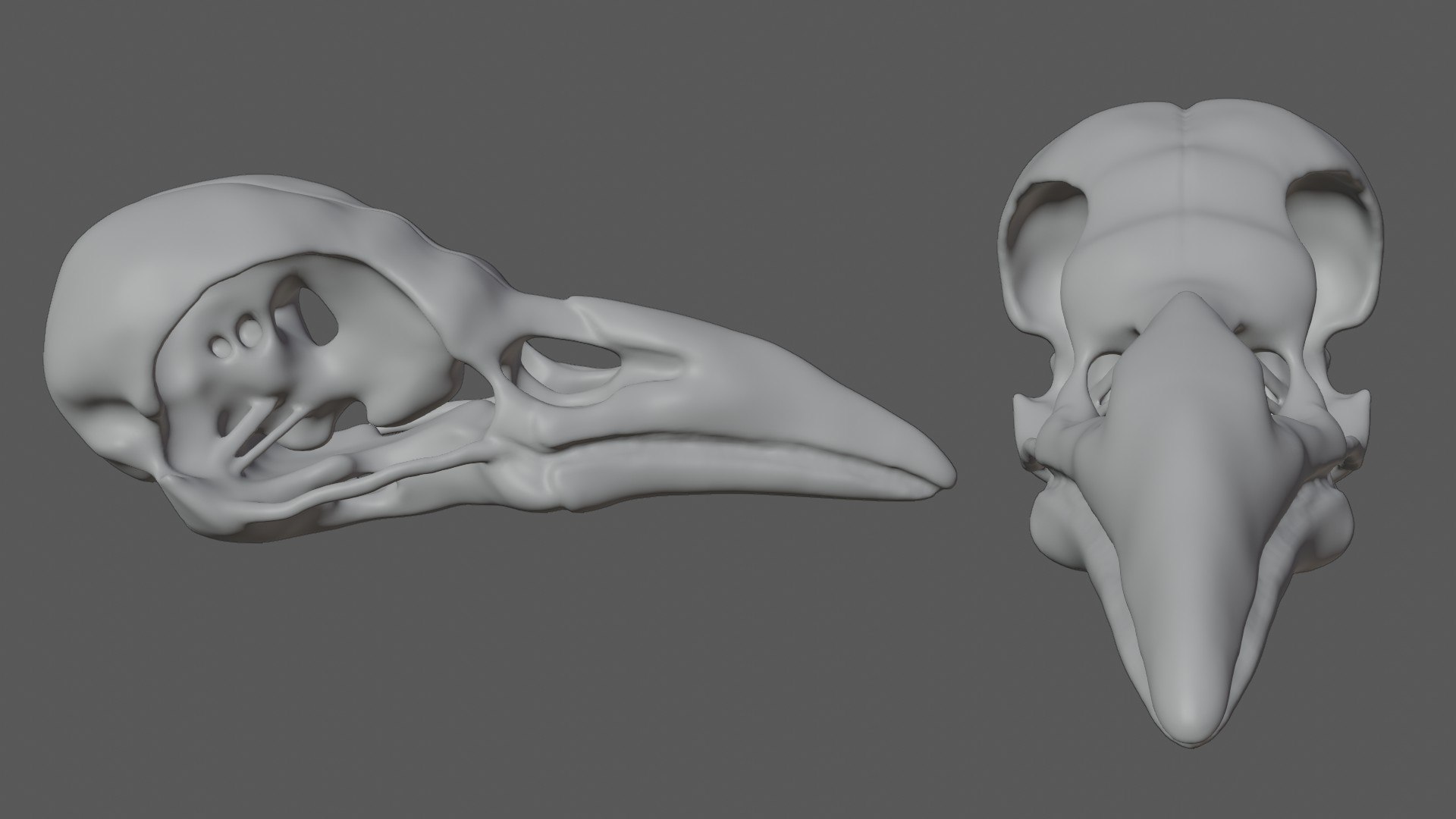 3D Raven Crow Skull https://p.turbosquid.com/ts-thumb/Go/aUZNQC/rK/19/jpg/1628027217/1920x1080/fit_q87/f1ec4fa8784505dabbaa57ebc358def4943ef945/19.jpg