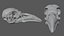 Raven Crow Skull